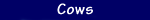 Cows