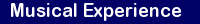 Musical Experience