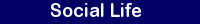 Social Life