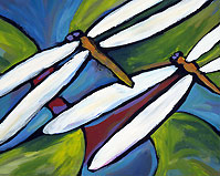 Dragonfly Duet