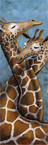 giraffes