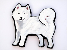 samoyed