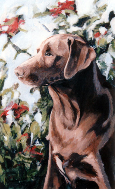 pets5a