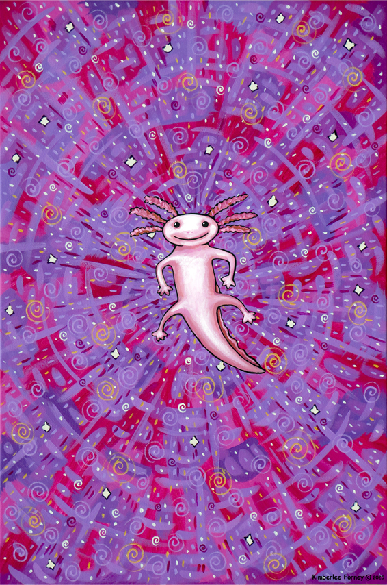 animals26